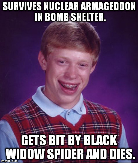 Sorry, Brian, but you just can't win. | SURVIVES NUCLEAR ARMAGEDDON IN BOMB SHELTER. GETS BIT BY BLACK WIDOW SPIDER AND DIES. | image tagged in memes,bad luck brian | made w/ Imgflip meme maker