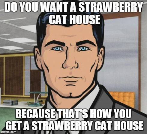 Archer Meme | DO YOU WANT A STRAWBERRY CAT HOUSE BECAUSE THAT'S HOW YOU GET A STRAWBERRY CAT HOUSE | image tagged in memes,archer | made w/ Imgflip meme maker