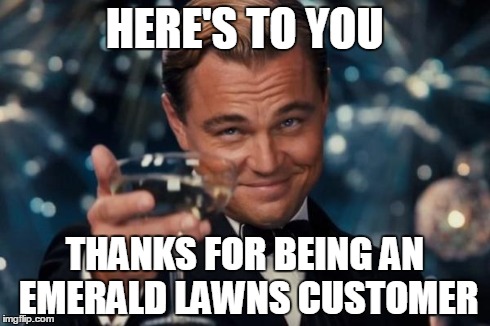 Leonardo Dicaprio Cheers Meme | HERE'S TO YOU THANKS FOR BEING AN EMERALD LAWNS CUSTOMER | image tagged in memes,leonardo dicaprio cheers | made w/ Imgflip meme maker