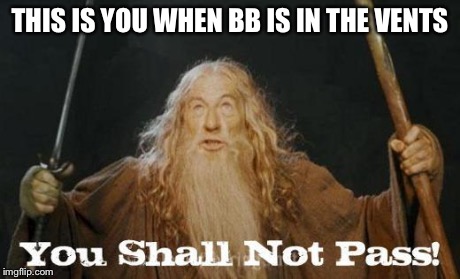 gandalf you shall not pass | THIS IS YOU WHEN BB IS IN THE VENTS | image tagged in gandalf you shall not pass | made w/ Imgflip meme maker