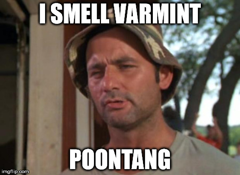 So I Got That Goin For Me Which Is Nice Meme | I SMELL VARMINT POONTANG | image tagged in memes,so i got that goin for me which is nice | made w/ Imgflip meme maker