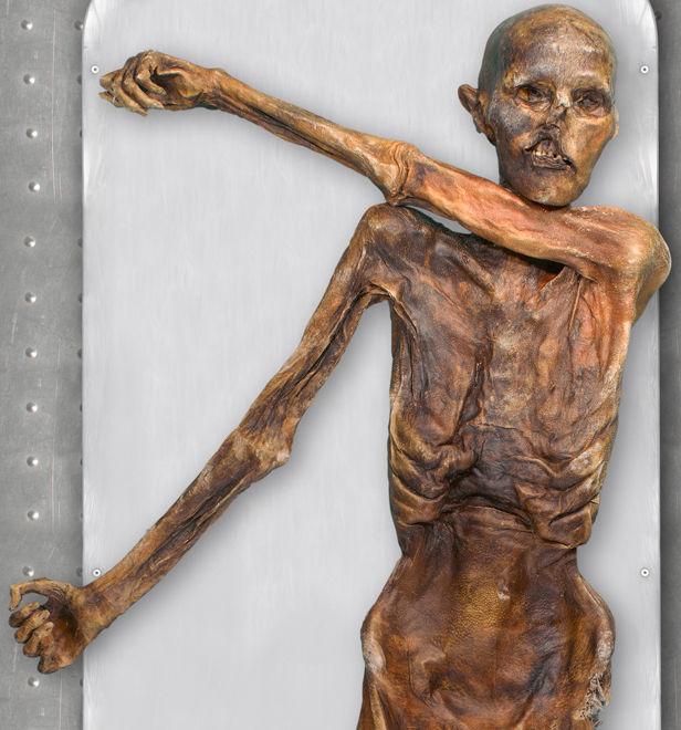 High Quality Otzi Blank Meme Template