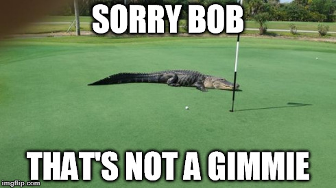 SORRY BOB THAT'S NOT A GIMMIE | image tagged in golf,golfing,gator,crazy | made w/ Imgflip meme maker
