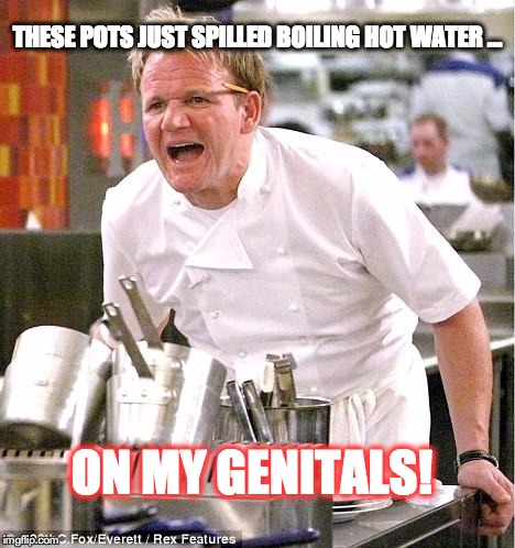 Chef Gordon Ramsay | THESE POTS JUST SPILLED BOILING HOT WATER ... ON MY GENITALS! | image tagged in memes,chef gordon ramsay | made w/ Imgflip meme maker