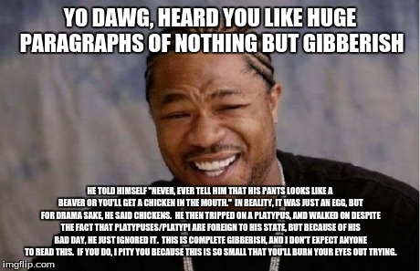 Yo dawg, heard you like reading something so small that you'll burn your eyes out. | YO DAWG, HEARD YOU LIKE HUGE PARAGRAPHS OF NOTHING BUT GIBBERISH HE TOLD HIMSELF "NEVER, EVER TELL HIM THAT HIS PANTS LOOKS LIKE A BEAVER OR | image tagged in memes,yo dawg heard you | made w/ Imgflip meme maker