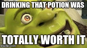 it worked | DRINKING THAT POTION WAS TOTALLY WORTH IT | image tagged in shrek totally worth it,potion,shrek,memes | made w/ Imgflip meme maker