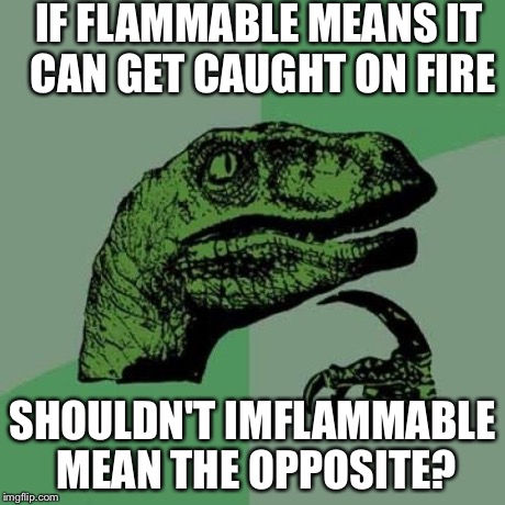 Philosoraptor Meme | IF FLAMMABLE MEANS IT CAN GET CAUGHT ON FIRE SHOULDN'T IMFLAMMABLE MEAN THE OPPOSITE? | image tagged in memes,philosoraptor | made w/ Imgflip meme maker