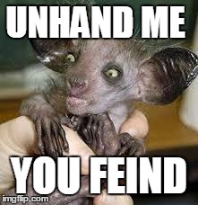 UNHAND ME YOU FEIND | image tagged in aye aye | made w/ Imgflip meme maker