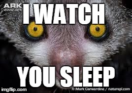 I WATCH YOU SLEEP | image tagged in i watch you | made w/ Imgflip meme maker