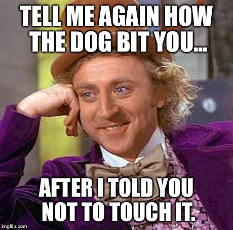 Creepy Condescending Wonka Meme | TELL ME AGAIN HOW THE DOG BIT YOU... AFTER I TOLD YOU NOT TO TOUCH IT. | image tagged in memes,creepy condescending wonka | made w/ Imgflip meme maker
