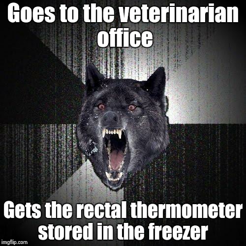 Insanity Wolf Meme | Goes to the veterinarian office Gets the rectal thermometer stored in the freezer | image tagged in memes,insanity wolf | made w/ Imgflip meme maker