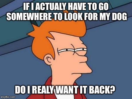 Futurama Fry | IF I ACTUALY HAVE TO GO SOMEWHERE TO LOOK FOR MY DOG DO I REALY WANT IT BACK? | image tagged in memes,futurama fry | made w/ Imgflip meme maker