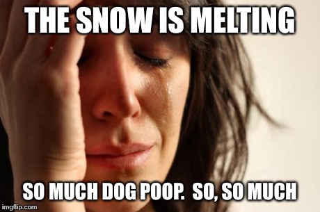 First World Problems | THE SNOW IS MELTING SO MUCH DOG POOP. 
SO, SO MUCH | image tagged in memes,first world problems | made w/ Imgflip meme maker