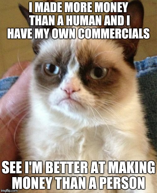 More money than a human | I MADE MORE MONEY THAN A HUMAN AND I HAVE MY OWN COMMERCIALS SEE I'M BETTER AT MAKING MONEY THAN A PERSON | image tagged in memes,grumpy cat | made w/ Imgflip meme maker