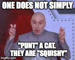 Dr Evil Laser | ONE DOES NOT SIMPLY "PUNT" A CAT.  
THEY ARE "SQUISHY" | image tagged in memes,dr evil laser | made w/ Imgflip meme maker