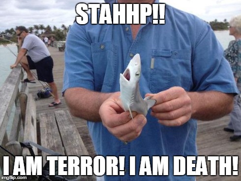 Sharky! | STAHHP!! I AM TERROR! I AM DEATH! | image tagged in shark,memes | made w/ Imgflip meme maker