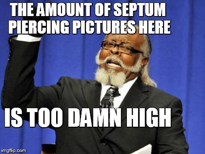 Too Damn High | THE AMOUNT OF SEPTUM PIERCING PICTURES HERE IS TOO DAMN HIGH | image tagged in memes,too damn high | made w/ Imgflip meme maker