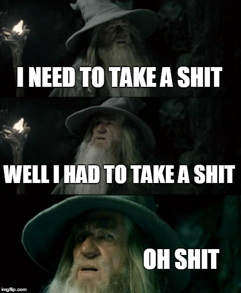 Confused Gandalf Meme | I NEED TO TAKE A SHIT WELL I HAD TO TAKE A SHIT OH SHIT | image tagged in memes,confused gandalf | made w/ Imgflip meme maker