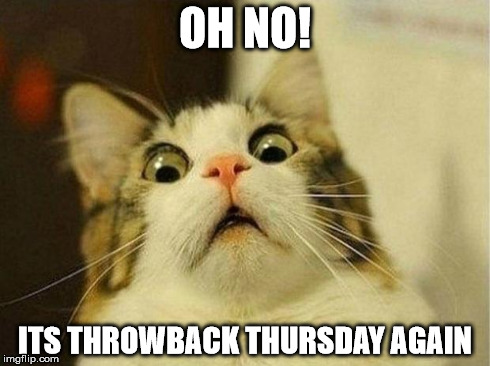 Scared Cat Meme | OH NO! ITS THROWBACK THURSDAY AGAIN | image tagged in scared cat | made w/ Imgflip meme maker