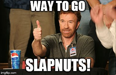 Chuck Norris Approves | WAY TO GO SLAPNUTS! | image tagged in memes,chuck norris approves | made w/ Imgflip meme maker