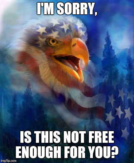 I'M SORRY, IS THIS NOT FREE ENOUGH FOR YOU? | image tagged in freedom eagle | made w/ Imgflip meme maker