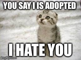 Sad Cat | YOU SAY I IS ADOPTED I HATE YOU | image tagged in memes,sad cat | made w/ Imgflip meme maker