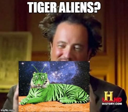 Ancient Aliens Meme | TIGER ALIENS? | image tagged in memes,ancient aliens | made w/ Imgflip meme maker