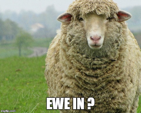 EWE IN ? | made w/ Imgflip meme maker