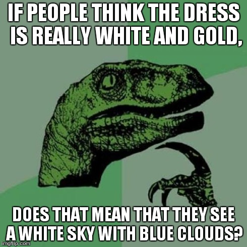 Philosoraptor | IF PEOPLE THINK THE DRESS IS REALLY WHITE AND GOLD, DOES THAT MEAN THAT THEY SEE A WHITE SKY WITH BLUE CLOUDS? | image tagged in memes,philosoraptor | made w/ Imgflip meme maker