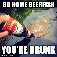 GO HOME BEERFISH YOU'RE DRUNK | image tagged in beerfish | made w/ Imgflip meme maker