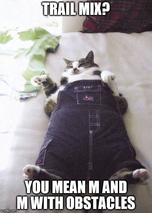 Fat Cat | TRAIL MIX? YOU MEAN M AND M WITH OBSTACLES | image tagged in memes,fat cat | made w/ Imgflip meme maker