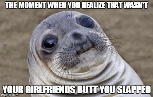 Awkward Moment Sealion | THE MOMENT WHEN YOU REALIZE THAT WASN'T YOUR GIRLFRIENDS BUTT YOU SLAPPED | image tagged in memes,awkward moment sealion | made w/ Imgflip meme maker
