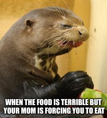 Food | WHEN THE FOOD IS TERRIBLE BUT YOUR MOM IS FORCING YOU TO EAT | image tagged in food | made w/ Imgflip meme maker