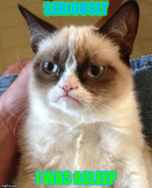 Grumpy Cat Meme | SERIOUSLY I WAS ASLEEP | image tagged in memes,grumpy cat | made w/ Imgflip meme maker