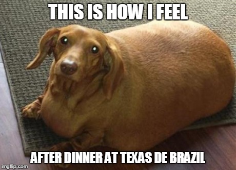 THIS IS HOW I FEEL AFTER DINNER AT TEXAS DE BRAZIL | image tagged in fat dog - texas de brazil | made w/ Imgflip meme maker