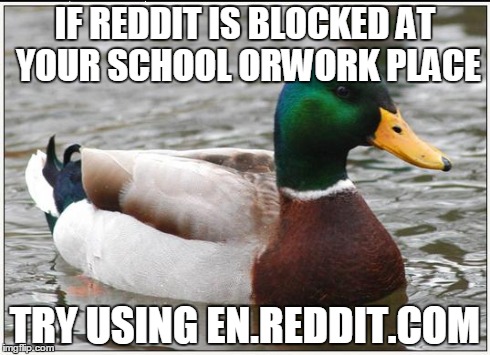 Actual Advice Mallard Meme | IF REDDIT IS BLOCKED AT YOUR SCHOOL ORWORK PLACE TRY USING EN.REDDIT.COM | image tagged in memes,actual advice mallard | made w/ Imgflip meme maker