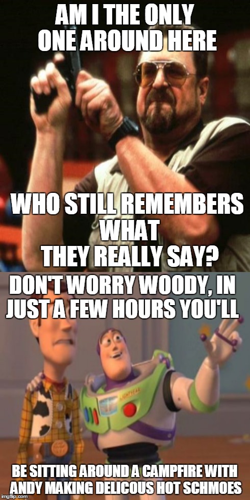 Memes, Memes everywhere! | AM I THE ONLY ONE AROUND HERE WHO STILL REMEMBERS WHAT THEY REALLY SAY? BE SITTING AROUND A CAMPFIRE WITH ANDY MAKING DELICOUS HOT SCHMOES D | image tagged in x x everywhere,am i the only one around here,buzz lightyear,woody | made w/ Imgflip meme maker