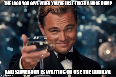 Leonardo Dicaprio Cheers Meme | THE LOOK YOU GIVE WHEN YOU'VE JUST TAKEN A HUGE DUMP AND SOMEBODY IS WAITING TO USE THE CUBICAL | image tagged in memes,leonardo dicaprio cheers | made w/ Imgflip meme maker