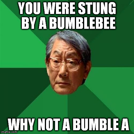 High Expectations Asian Father | YOU WERE STUNG BY A BUMBLEBEE WHY NOT A BUMBLE A | image tagged in memes,high expectations asian father | made w/ Imgflip meme maker