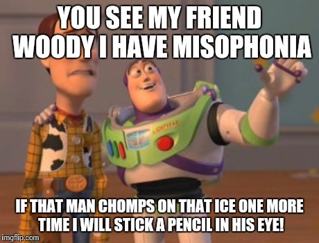 X, X Everywhere Meme | YOU SEE MY FRIEND WOODY I HAVE MISOPHONIA IF THAT MAN CHOMPS ON THAT ICE ONE MORE TIME I WILL STICK A PENCIL IN HIS EYE! | image tagged in memes,x x everywhere | made w/ Imgflip meme maker