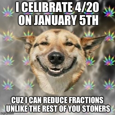 Stoner Dog | I CELIBRATE 4/20 ON JANUARY 5TH CUZ I CAN REDUCE FRACTIONS UNLIKE THE REST OF YOU STONERS | image tagged in memes,stoner dog | made w/ Imgflip meme maker