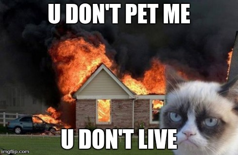 Burn Kitty | U DON'T PET ME U DON'T LIVE | image tagged in memes,burn kitty | made w/ Imgflip meme maker