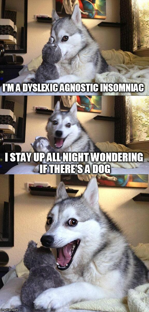 Bad Pun Dog Meme | I'M A DYSLEXIC AGNOSTIC INSOMNIAC I STAY UP ALL NIGHT WONDERING IF THERE'S A DOG | image tagged in memes,bad pun dog | made w/ Imgflip meme maker