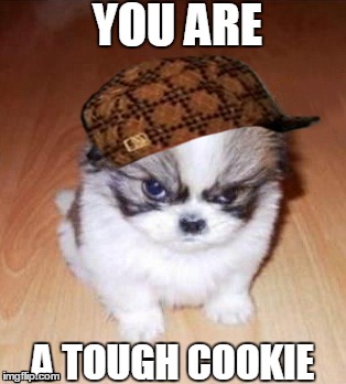 YOU ARE A TOUGH COOKIE | image tagged in tough,cookie,puppy,angry,scumbag | made w/ Imgflip meme maker