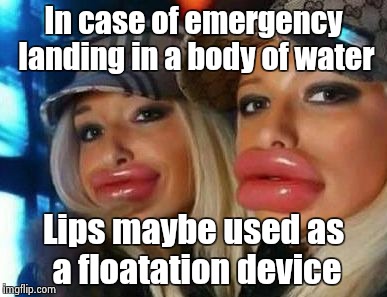 Duck Face Chicks Meme | In case of emergency landing in a body of water Lips maybe used as a floatation device | image tagged in memes,duck face chicks | made w/ Imgflip meme maker