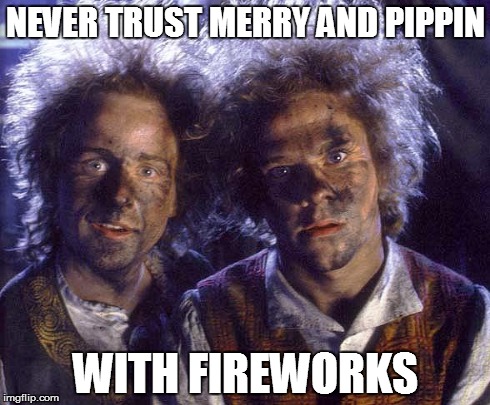 merry and pippin dumb dumbs | NEVER TRUST MERRY AND PIPPIN WITH FIREWORKS | image tagged in lord of the rings | made w/ Imgflip meme maker
