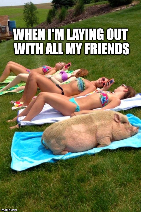 Dumpy Pig | WHEN I'M LAYING OUT WITH ALL MY FRIENDS | image tagged in pig,diet,spring,break,fat,friends | made w/ Imgflip meme maker