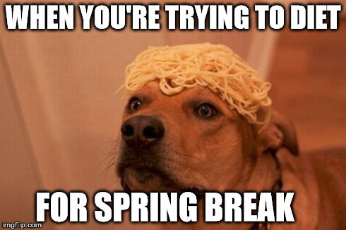 Spaghetti Dog Needs to Diet | WHEN YOU'RE TRYING TO DIET FOR SPRING BREAK | image tagged in diet,spring,break,fat,flying spaghetti monster | made w/ Imgflip meme maker