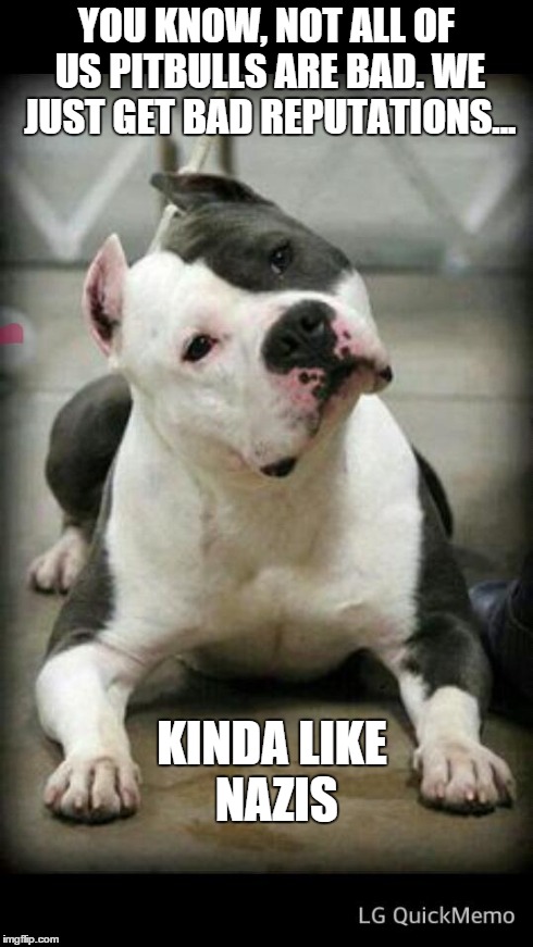 pitbull | YOU KNOW, NOT ALL OF US PITBULLS ARE BAD. WE JUST GET BAD REPUTATIONS... KINDA LIKE NAZIS | image tagged in pitbull | made w/ Imgflip meme maker