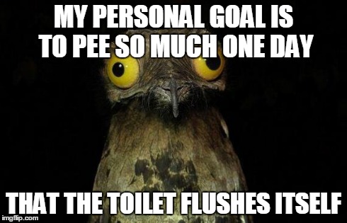 Weird Stuff I Do Potoo | MY PERSONAL GOAL IS TO PEE SO MUCH ONE DAY THAT THE TOILET FLUSHES ITSELF | image tagged in memes,weird stuff i do potoo | made w/ Imgflip meme maker